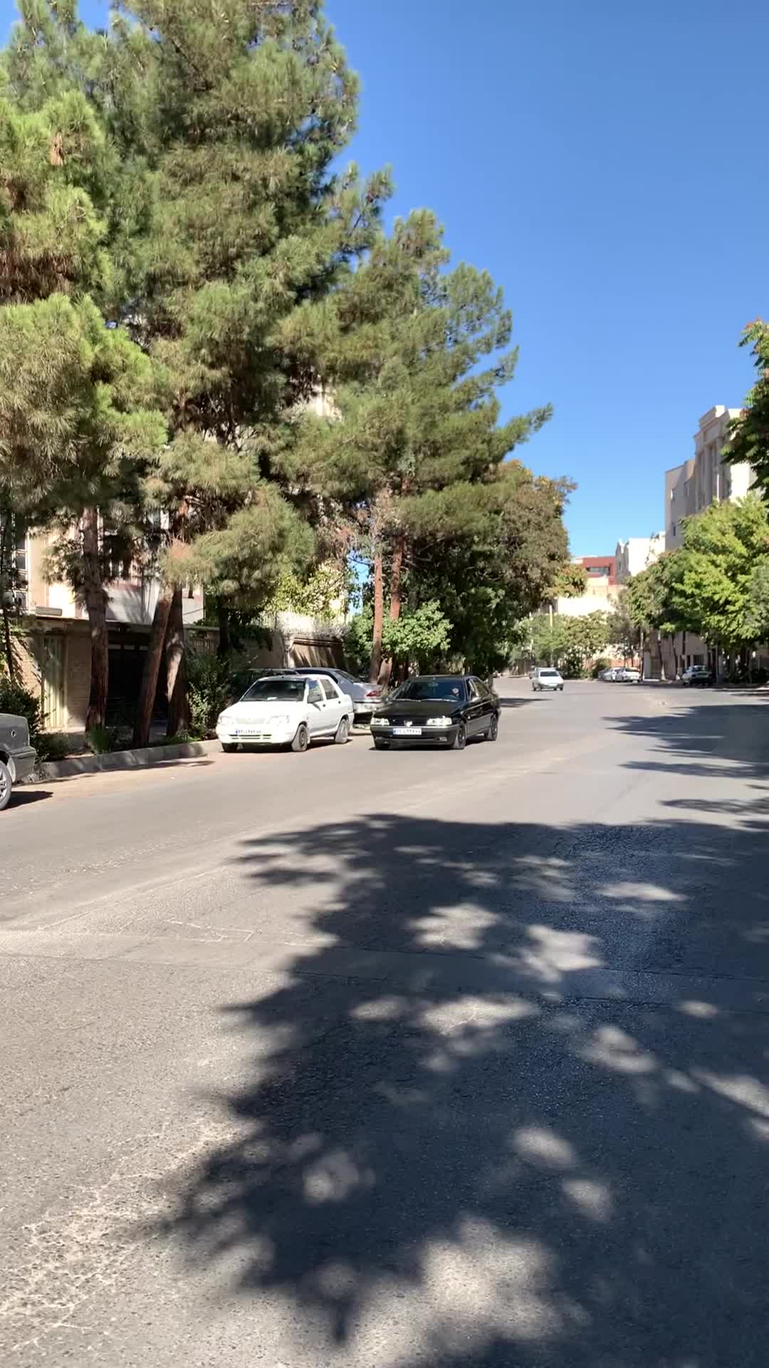 پژو 405|خودرو سواری و وانت|بجنورد, |دیوار