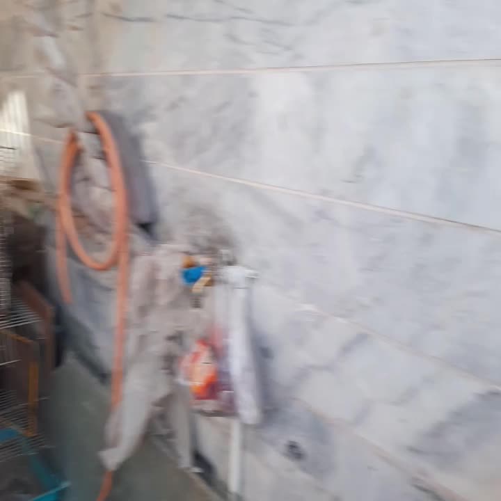 مغازه فروشی۱۸متری|فروش مغازه و غرفه|مشهد, کوی دروی|دیوار