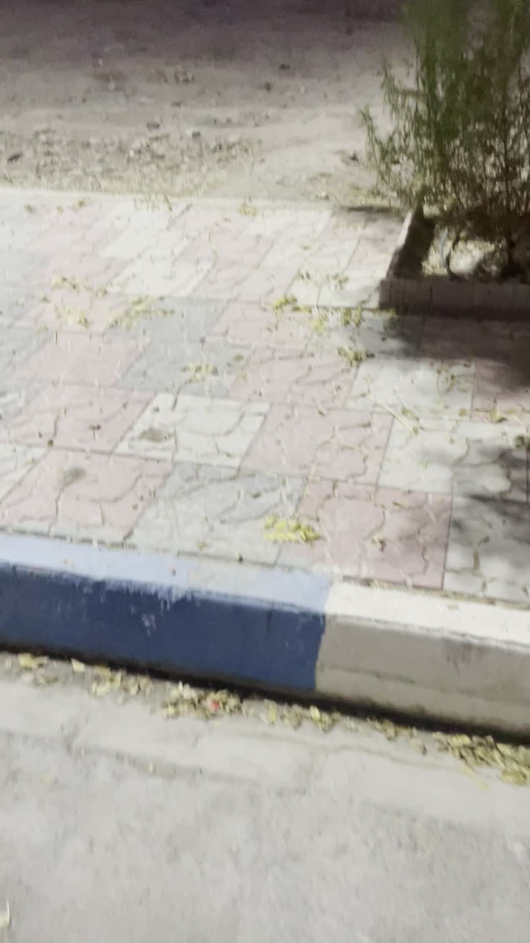 فروش زمین ۳۰۰ متری یوسف اباد صیرفی.فردوسیه شهریار|فروش زمین و ملک کلنگی|شهریار, یوسف آباد صیرفی|دیوار