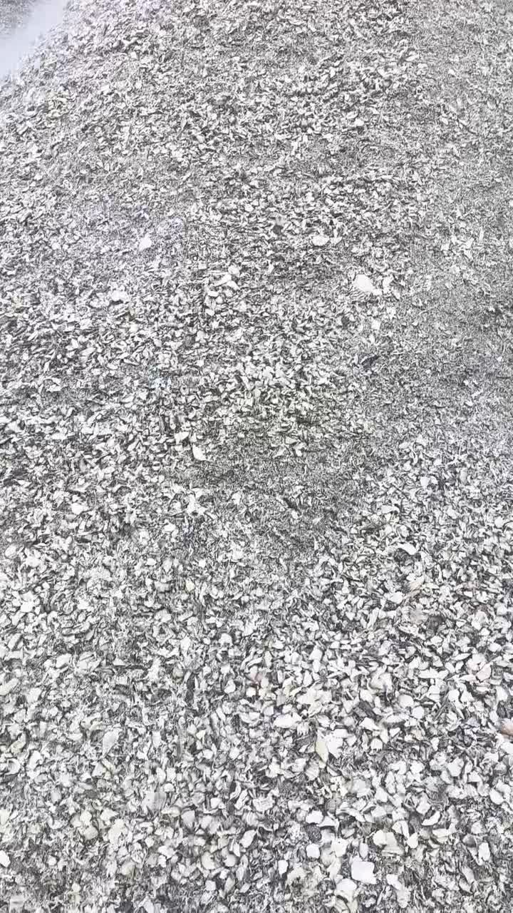 فروش تفاله چغندر خشک پرس آبدار به قیمت کارخانه|عمدهفروشی|محمدبار, |دیوار