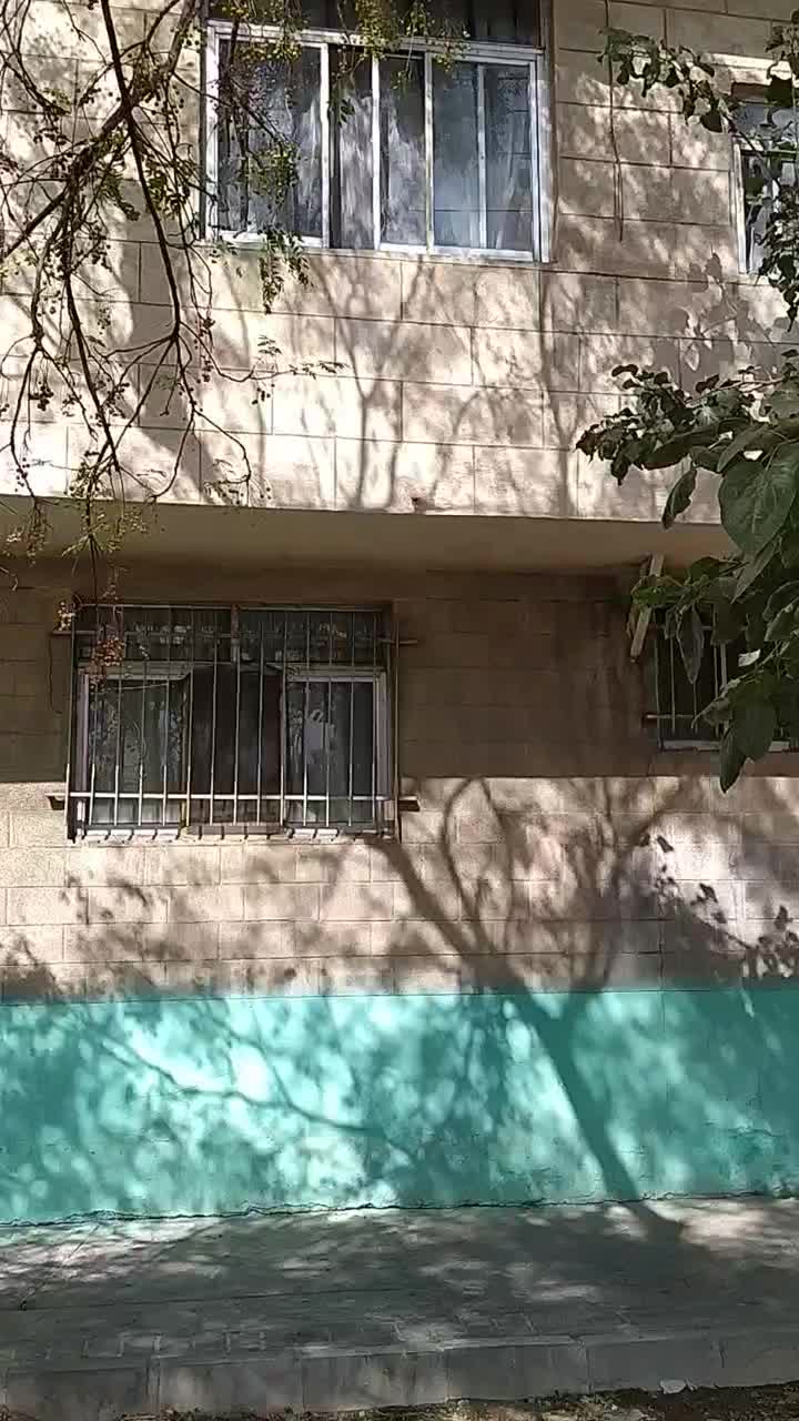 اجاره روزانه/هفتگی/ماهانه آپارتمان ۴۰ متر  جوادیه|اجارهٔ کوتاه‌مدت آپارتمان و سوئیت|تهران, جوادیه|دیوار