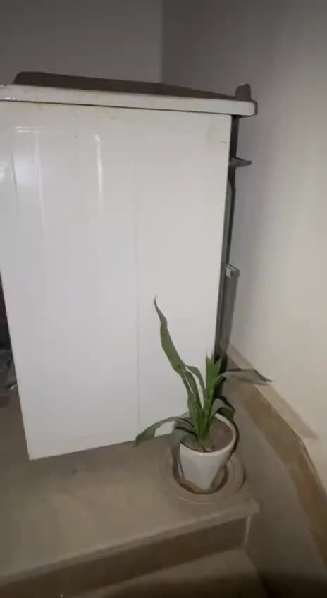 گاز فر دار پنچ شعله|اجاق گاز و لوازم برقی پختوپز|مشهد, آزادشهر|دیوار