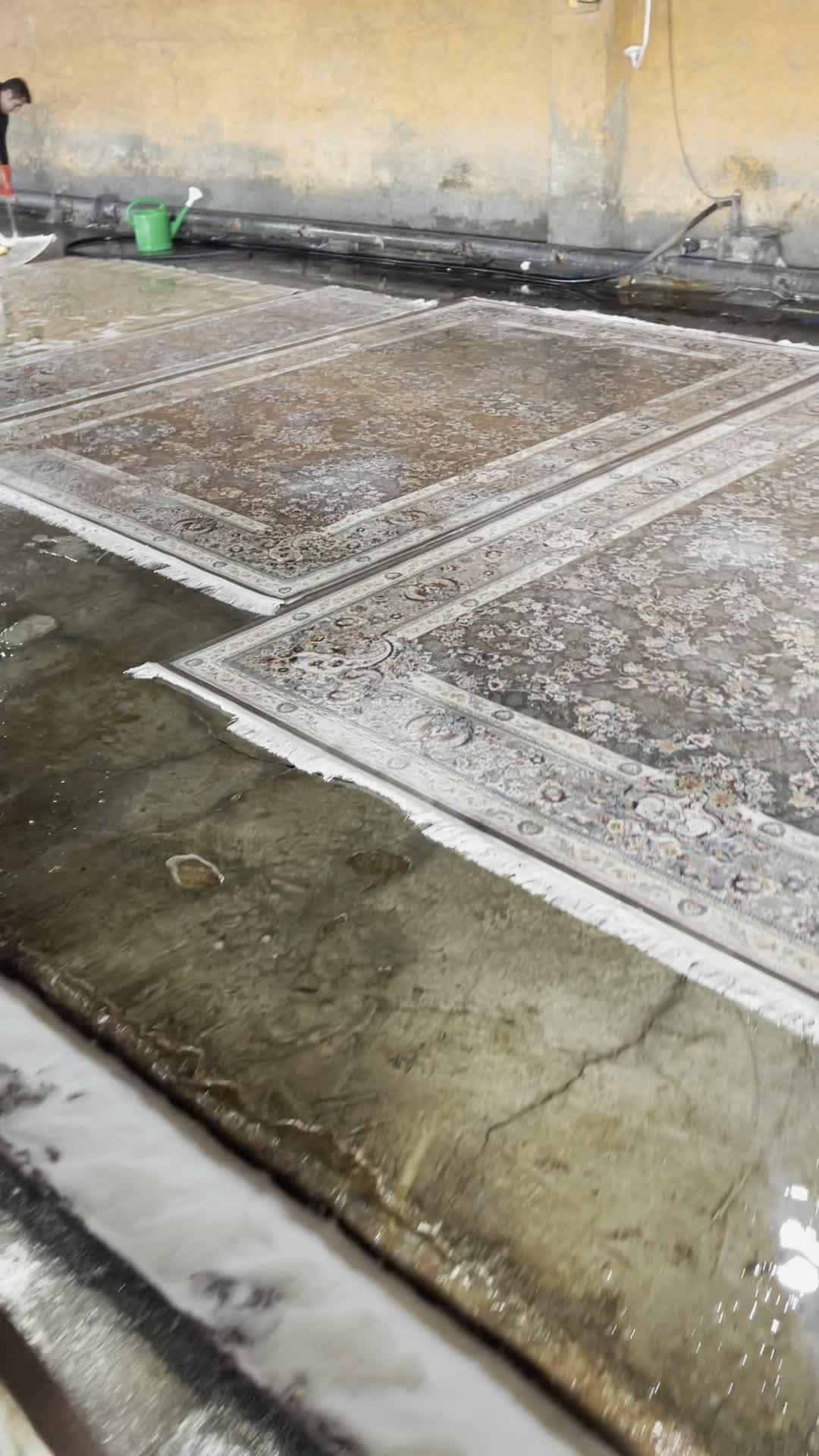 قالیشویی و مبلشویی 56835683|خدمات نظافت|گلستان (تهران), |دیوار