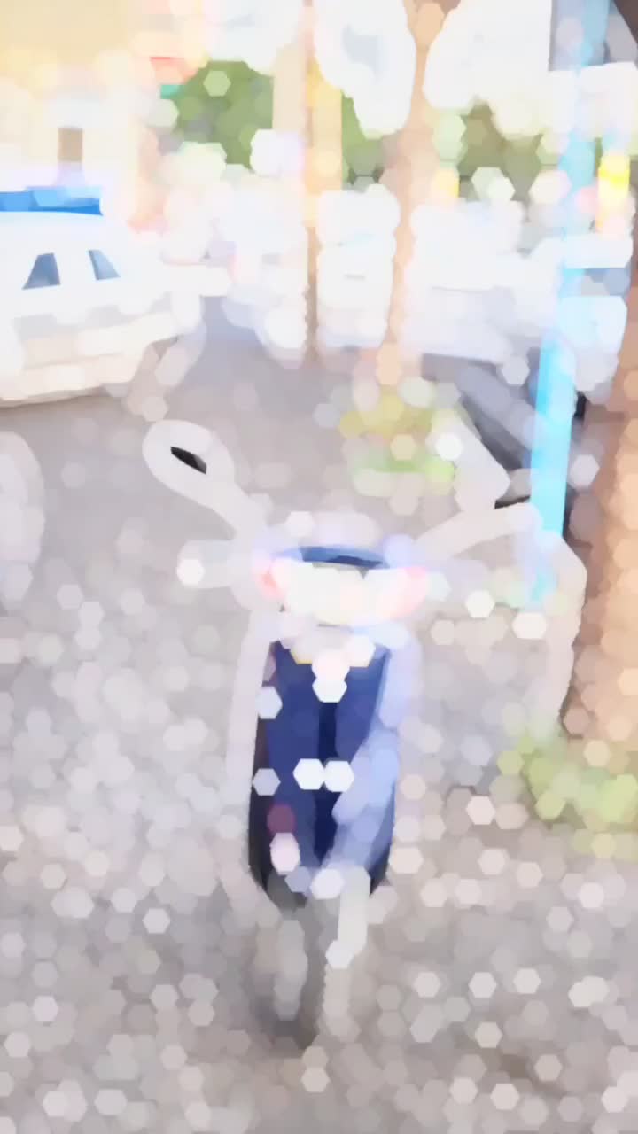 موتور پاکشتی هوندا دیو|موتورسیکلت|اردبیل, |دیوار