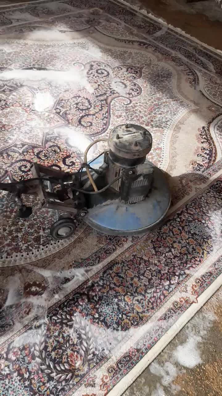 قالیشویی وزیری|خدمات نظافت|اسفراین, |دیوار