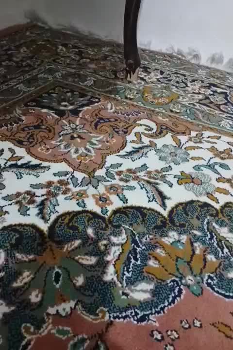 سواری پیکان|خودرو سواری و وانت|شاندرمن, |دیوار