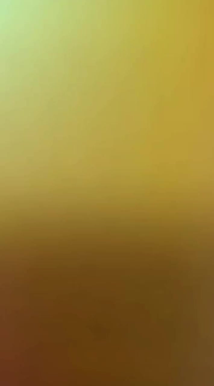 پامر خرسی نر|سگ|پاکدشت, پاکدشت (مامازند)|دیوار