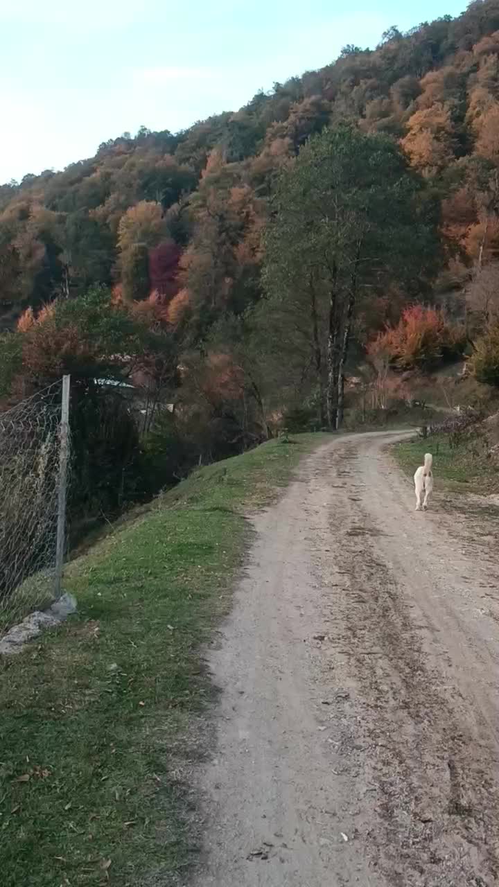 خونه باغ گردو ۱۰۰۰متری|فروش زمین و ملک کلنگی|فریم, |دیوار