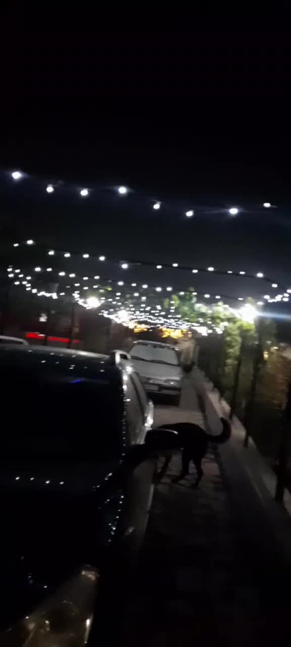 اجاره باغ ویلا نزدیک تهران|اجارهٔ کوتاهمدت ویلا و باغ|کهریزک, |دیوار