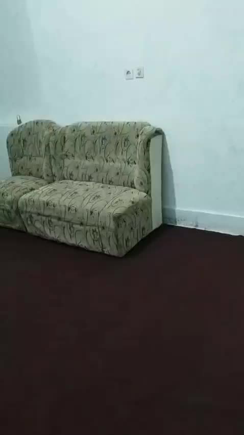 اجاره منزل روزانه|اجارهٔ کوتاه‌مدت آپارتمان و سوئیت|کازرون, |دیوار