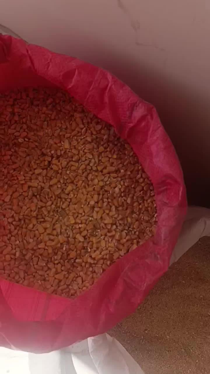 فروش نهاده دامی جو ذرت خوراک دام سبوس گندم وغیره|عمده‌فروشی|شیراز, کوشک بیدک|دیوار
