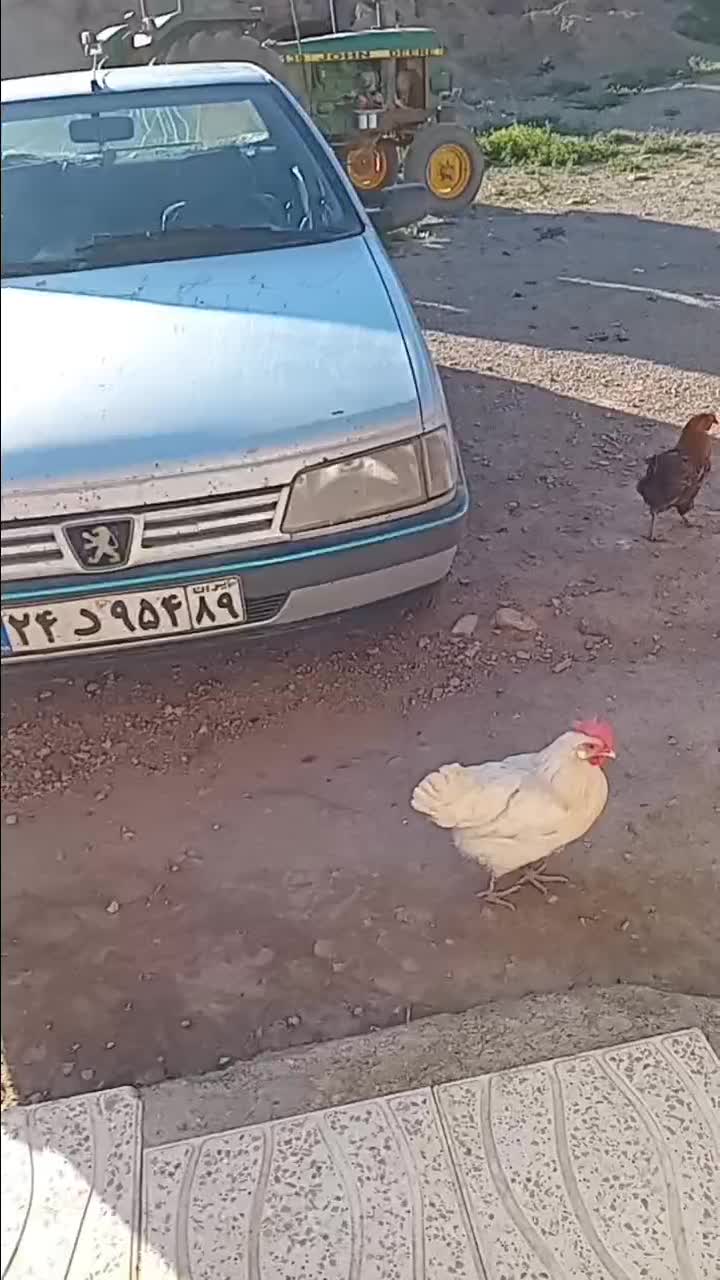 فروشی نقد|خودرو سنگین|آبیک, |دیوار