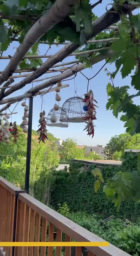 سوییت اقامتگاه بومگردی چنارستان درود|اجارهٔ کوتاه‌مدت آپارتمان و سوئیت|نیشابور, مسکن مهر نور|دیوار