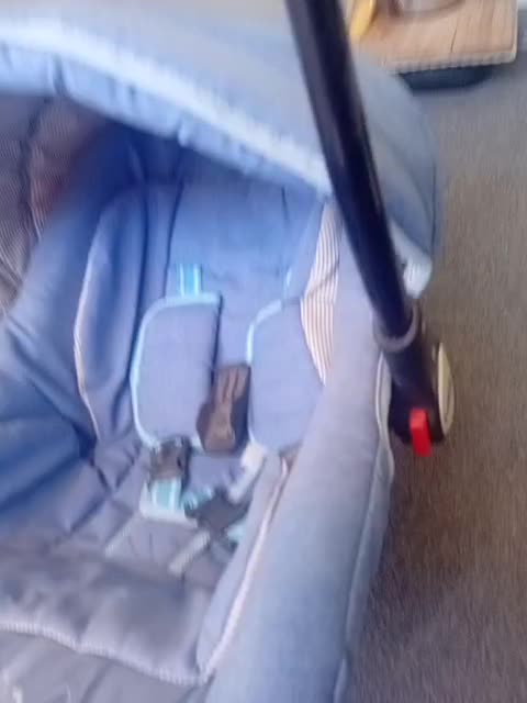 کریر|اسباب و اثاث بچه|ایرانشهر, |دیوار