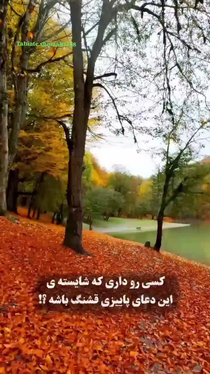 اجاره روزانه هفتگی چورت خانه سوییت  دربست|اجارهٔ کوتاه‌مدت آپارتمان و سوئیت|کیاسر, |دیوار