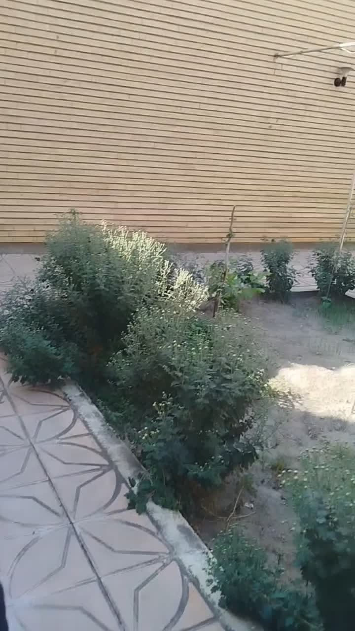خانه باصفا و دنج قدیمی در اسکو|فروش خانه و ویلا|اسکو, |دیوار