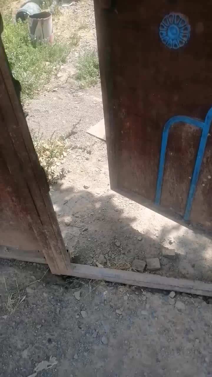 باغ باغچه300متری ارامگاه فرودستی روستای نجم|فروش خانه و ویلا|مشهد, توس (بلوار توس)|دیوار