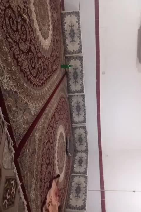 خانه اجاره ای اربعین|اجارهٔ خانه و ویلا|مهران (ایلام), |دیوار