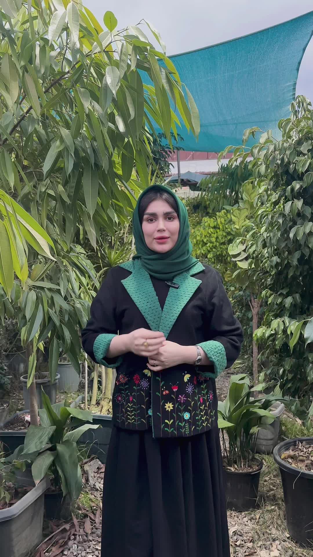 گلفروشی|گل و گیاه طبیعی|رشت, پل تالشان|دیوار