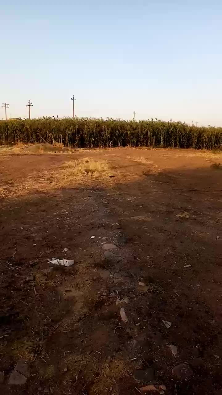 زمین مسکونی|فروش زمین و ملک کلنگی|زنجانرود, |دیوار