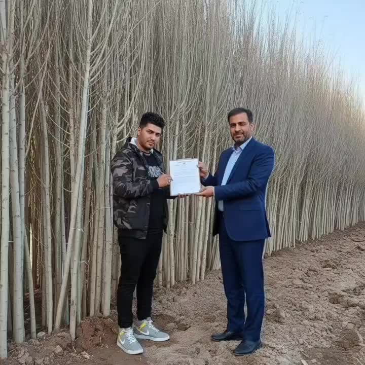 باغ صنوبر، کارخانه پول‌سازی شما در آینده نزدیک|خدمات باغبانی و درختکاری|اردبیل, |دیوار