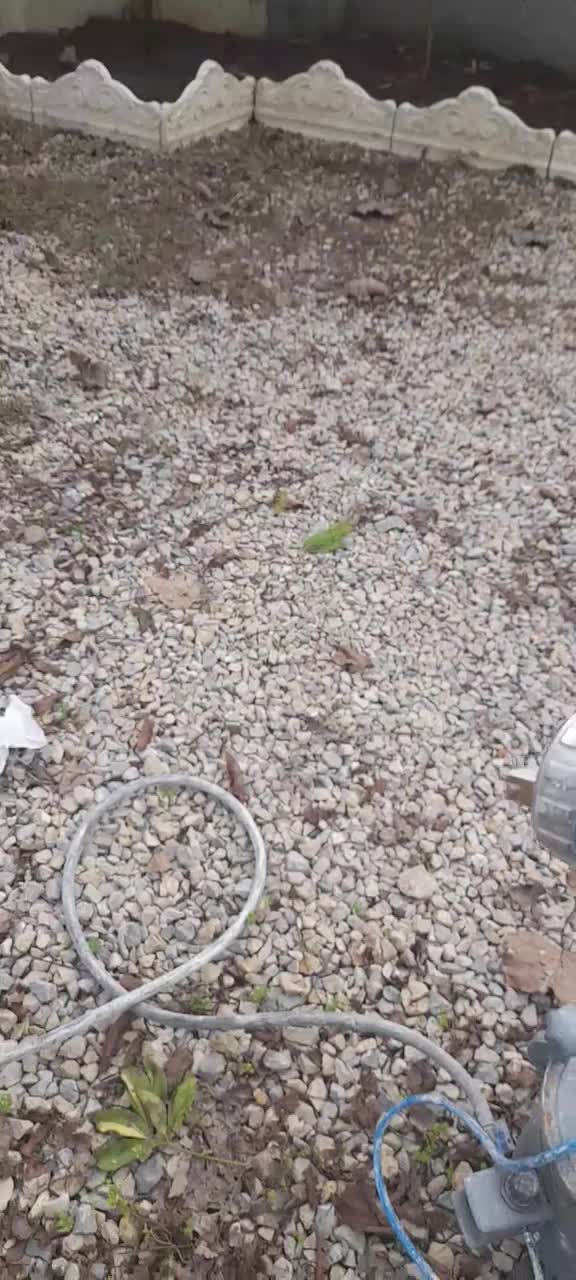 دیگ رنگ|ابزارآلات|تالش, هشتپر|دیوار