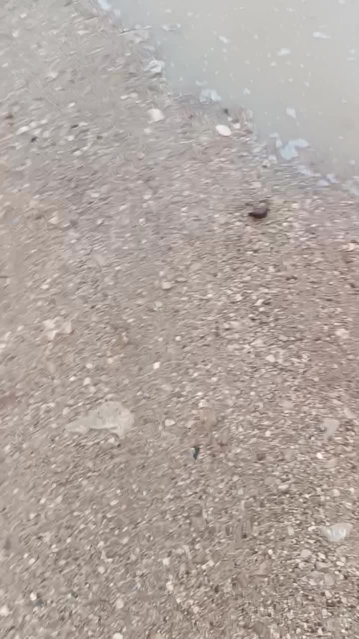 فروش زمین|فروش زمین و ملک کلنگی|نیریز, |دیوار