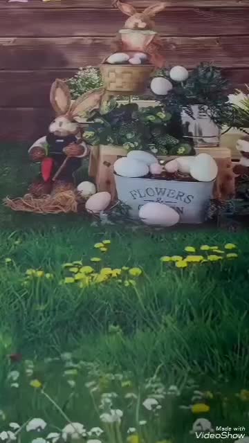 بک دراپ عکاسی|دوربین عکاسی و فیلمبرداری|صدرا-فارس, فاز ۱|دیوار