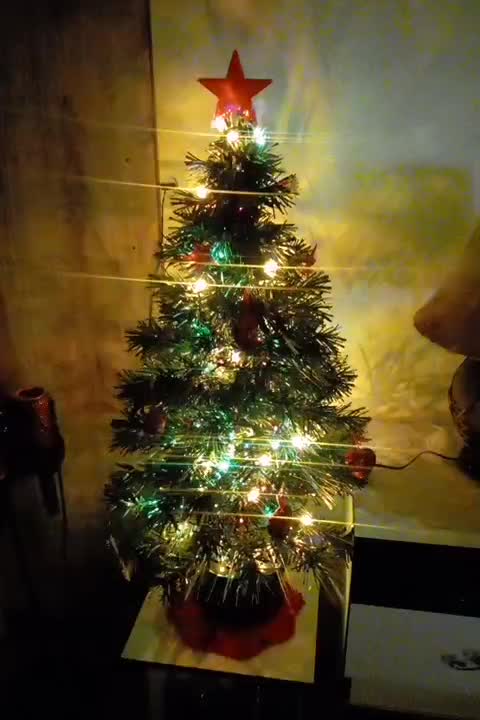 کاج کریسمس|گل مصنوعی|چهارباغ, |دیوار