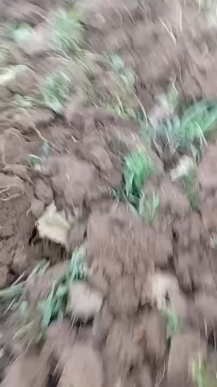 باغبان|خدمات باغبانی و درختکاری|تبریز, |دیوار