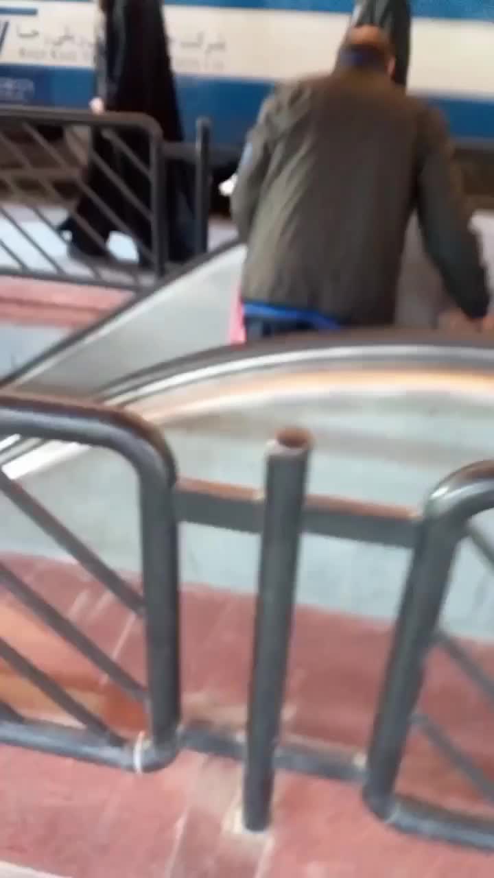 مشهد باقطار آذر ماه هر تاریخی شما بخواین|تور و چارتر|بروجرد, |دیوار