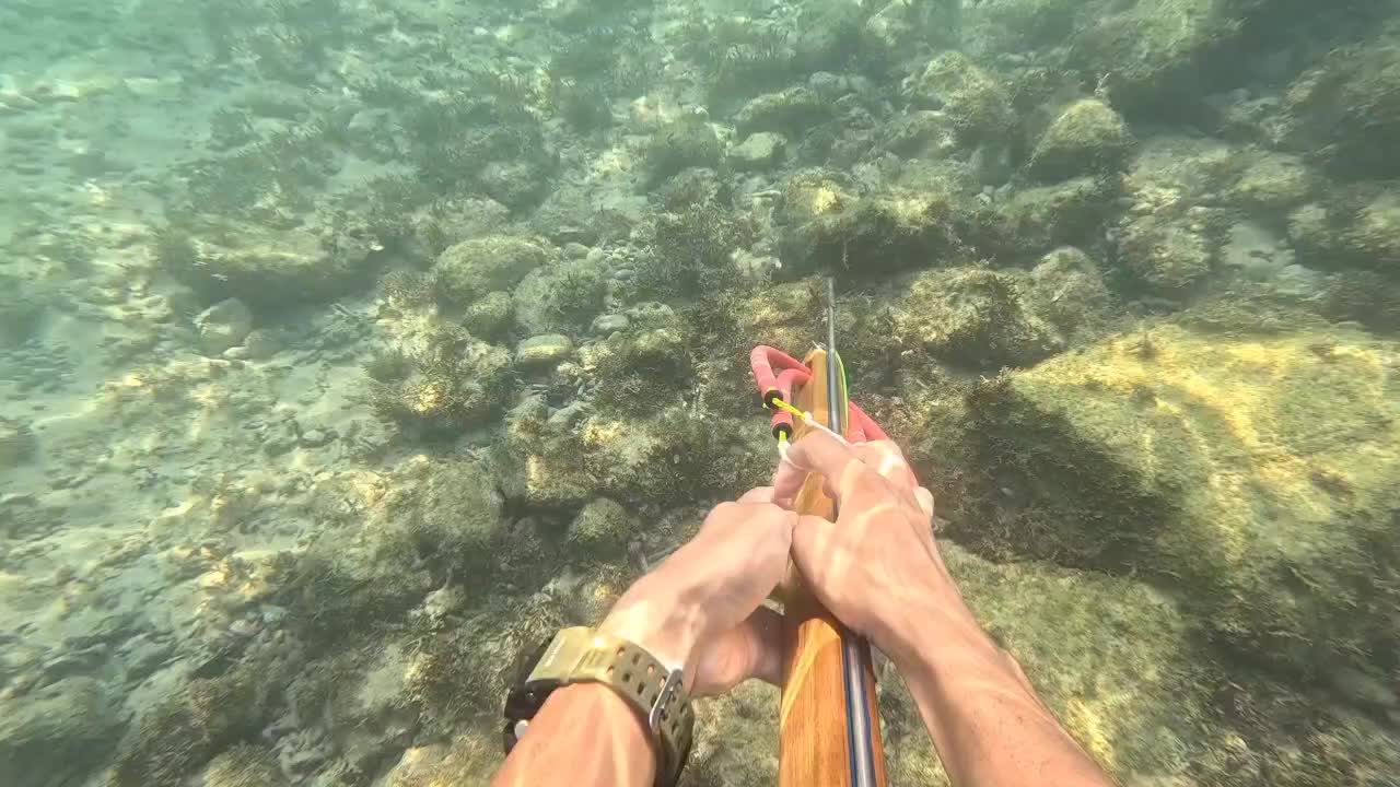 ماهیگیری و غواصی|ماهیگیری|بوشهر, |دیوار