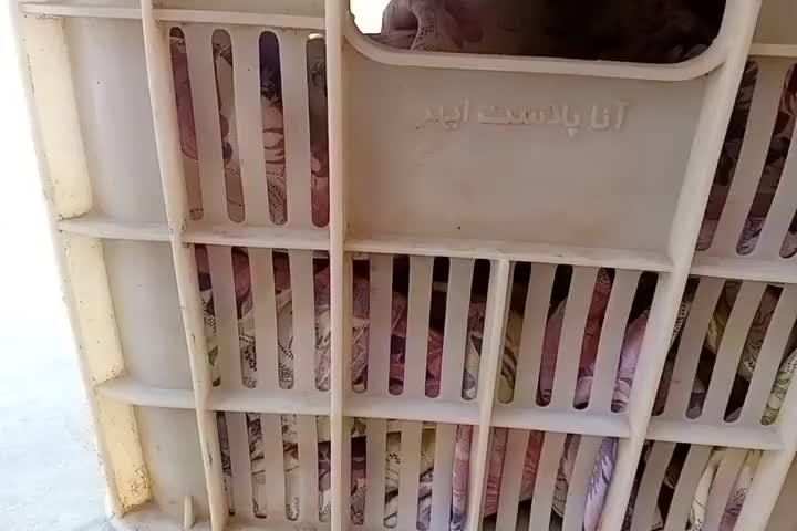 سبد|فروشگاه و مغازه|ساوه, |دیوار
