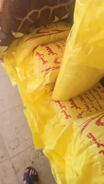 برنج عنبربو درجه یک تضمینی|خوردنی و آشامیدنی|دزفول, |دیوار