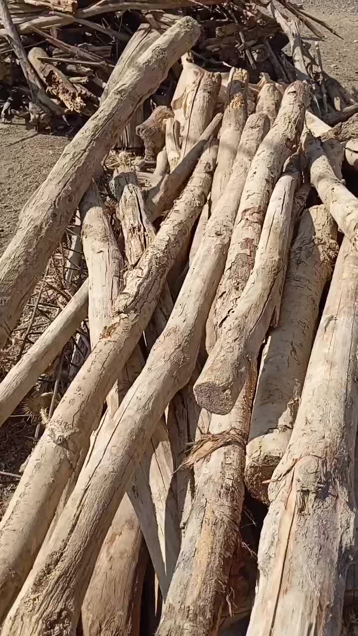 چوب سقف|مصالح و تجهیزات ساختمان|الیگودرز, |دیوار