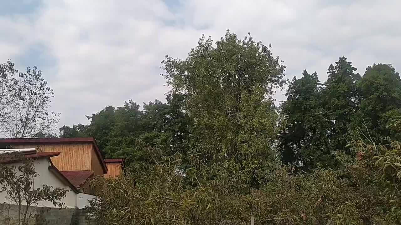 کلبه استخر دار|اجارهٔ کوتاهمدت آپارتمان و سوئیت|نشتارود, |دیوار