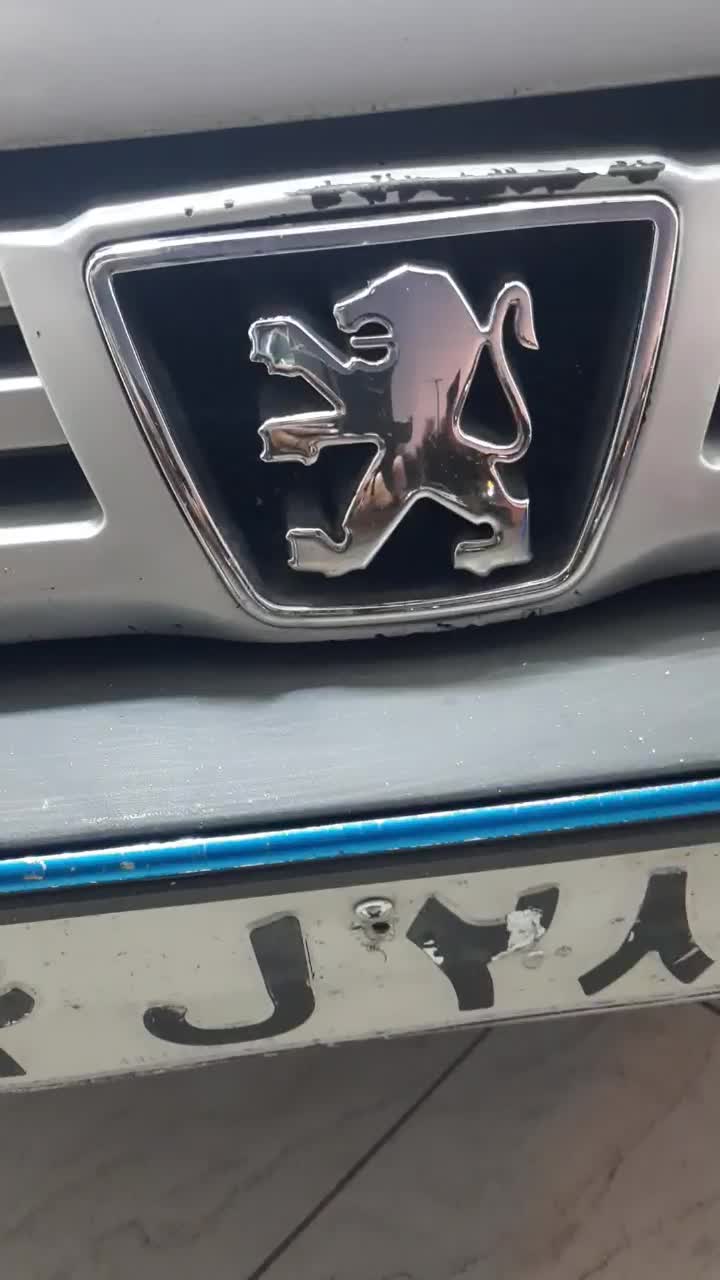 پژو ۴۰۵|خودرو سواری و وانت|مرودشت, ژیان|دیوار