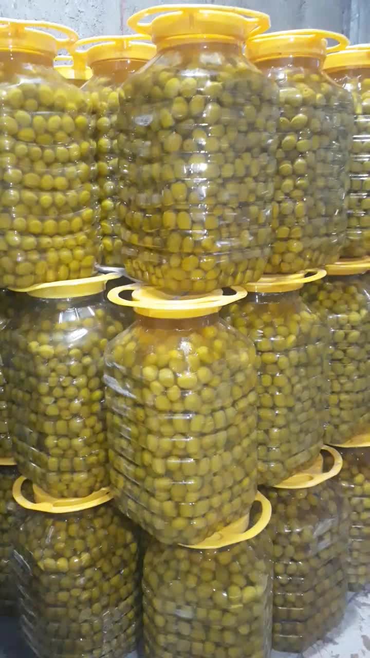 زیتون سوپر ویژه طارم درشت|خوردنی و آشامیدنی|تهران, شهرک شریعتی|دیوار