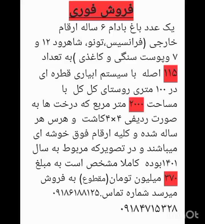 باغ بادام رقم پیوندی پوست کاغذی|فروش دفتر صنعتی، کشاورزی، تجاری|سنقر, |دیوار