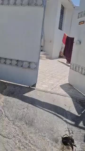 خانه درب به حیاط دو خوابه|فروش خانه و ویلا|شیراز, تل حسین‌آباد|دیوار