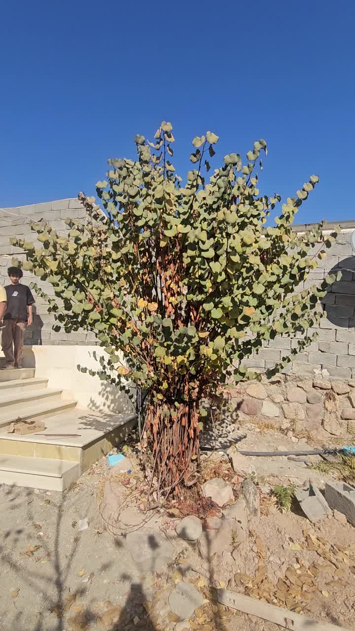 نصب نصاب تنظیم انتن ثابت گردان هشتگرد مهستان وحومه|خدمات پیشه و مهارت|هشتگرد, فاز ۳ مهستان|دیوار