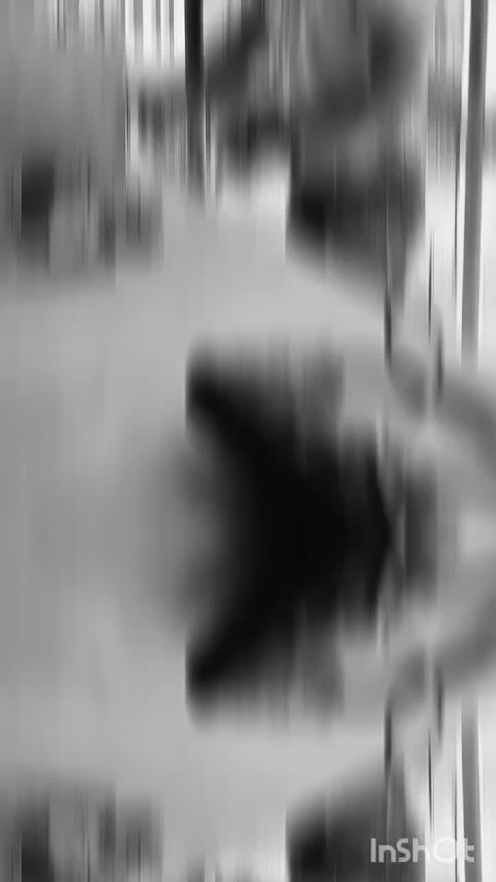 برقکشی ساختمان، برقکار،تابلو ال ای دی،تابلو روان|خدمات پیشه و مهارت|مشهد, حضرت حجت|دیوار