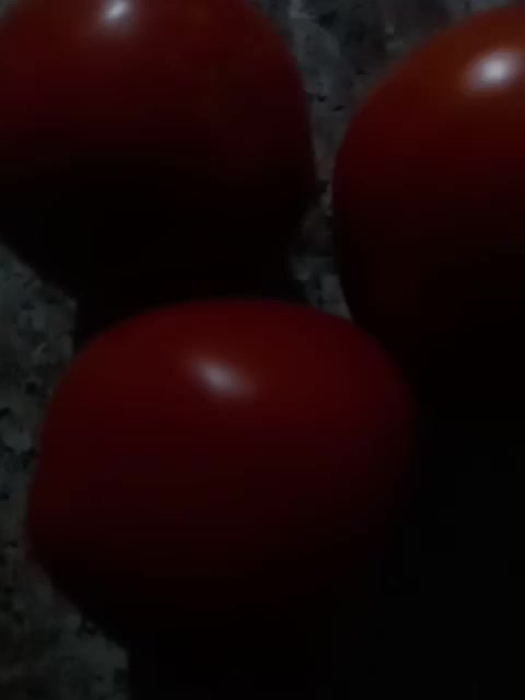گوجه|خوردنی و آشامیدنی|بهار, |دیوار