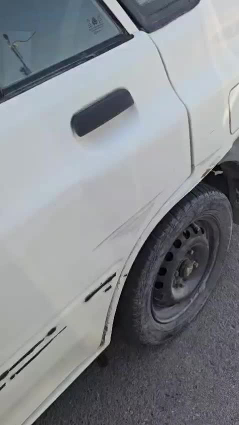 سالید مجیک|مواد شوینده و دستمال کاغذی|برازجان, |دیوار