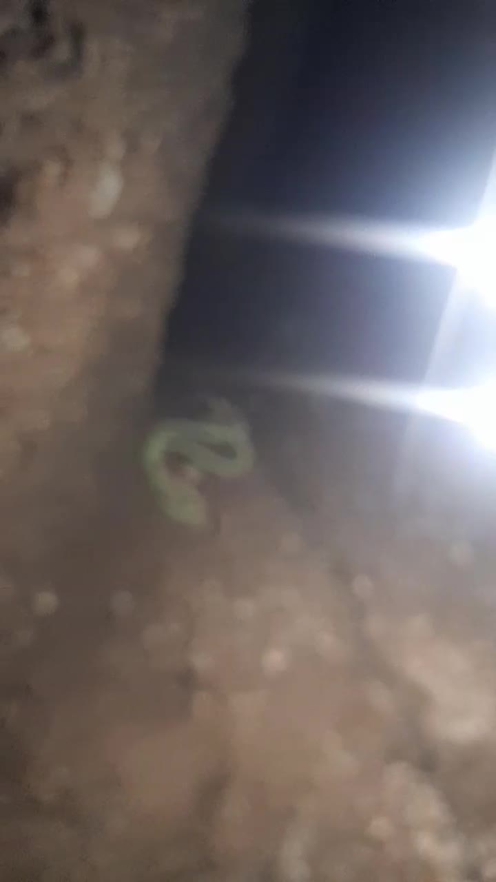 لوله بازکنی و حفاری چاه در فردیس و اندیشه ومارلیک|خدمات پیشه و مهارت|اندیشه, اندیشه فاز ۲|دیوار