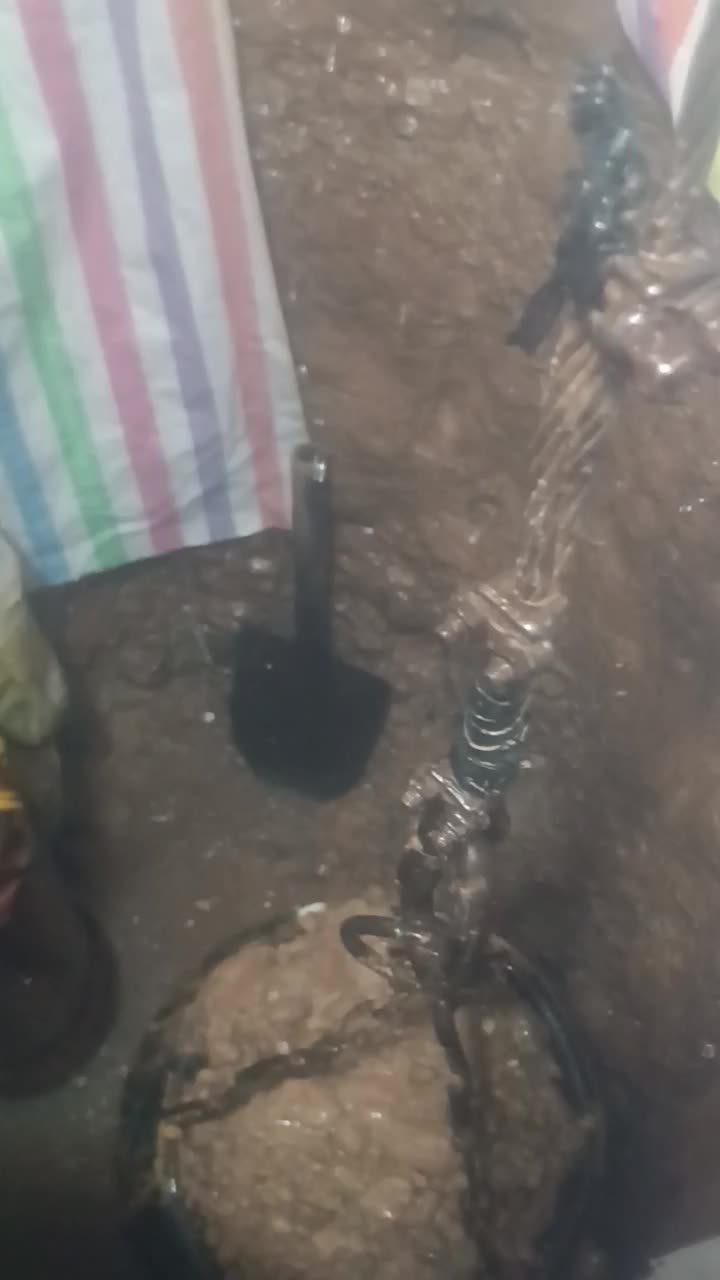 مغنی|خدمات پیشه و مهارت|گلمکان, |دیوار