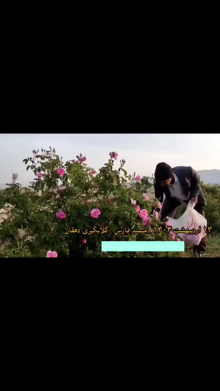 4هکتار کارگاه، باغ شهری، باغ انجیر، سوله، سردخانه|فروش دفتر صنعتی، کشاورزی، تجاری|شیراز, شهرک صنعتی شیراز|دیوار