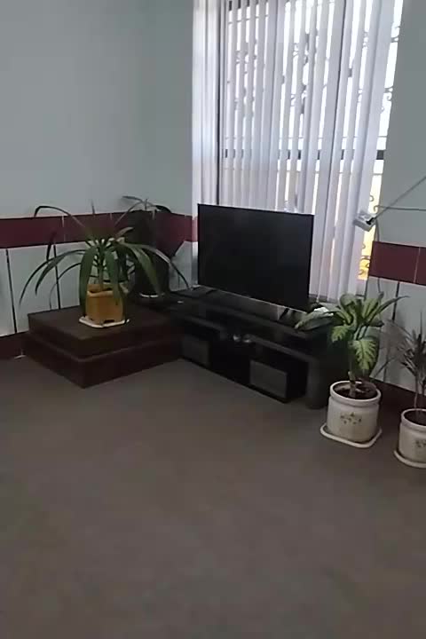 منزل مبله|اجارهٔ کوتاه‌مدت آپارتمان و سوئیت|شیراز, کوشک میدان|دیوار