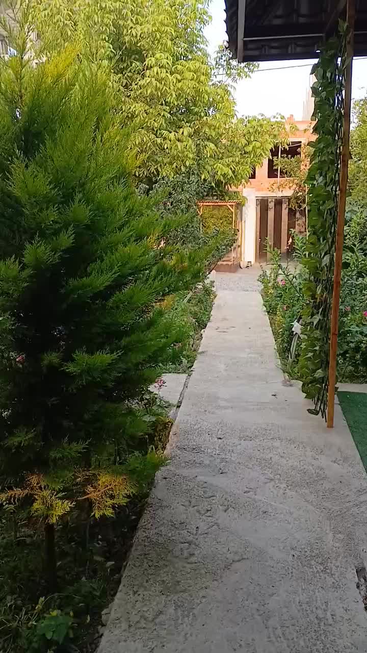 کلبه دو نفره (بهار ۳)|اجارهٔ کوتاهمدت ویلا و باغ|بابلسر, |دیوار