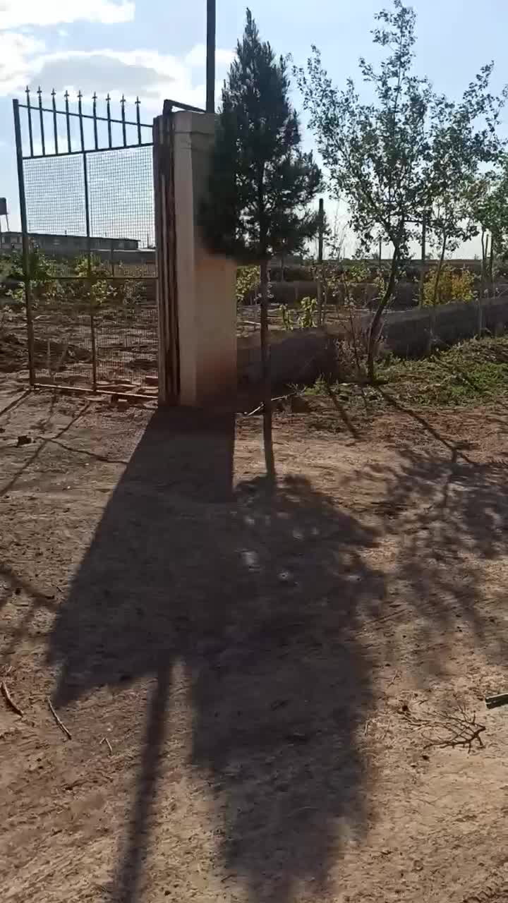 زمین|فروش زمین و ملک کلنگی|اشتهارد, |دیوار